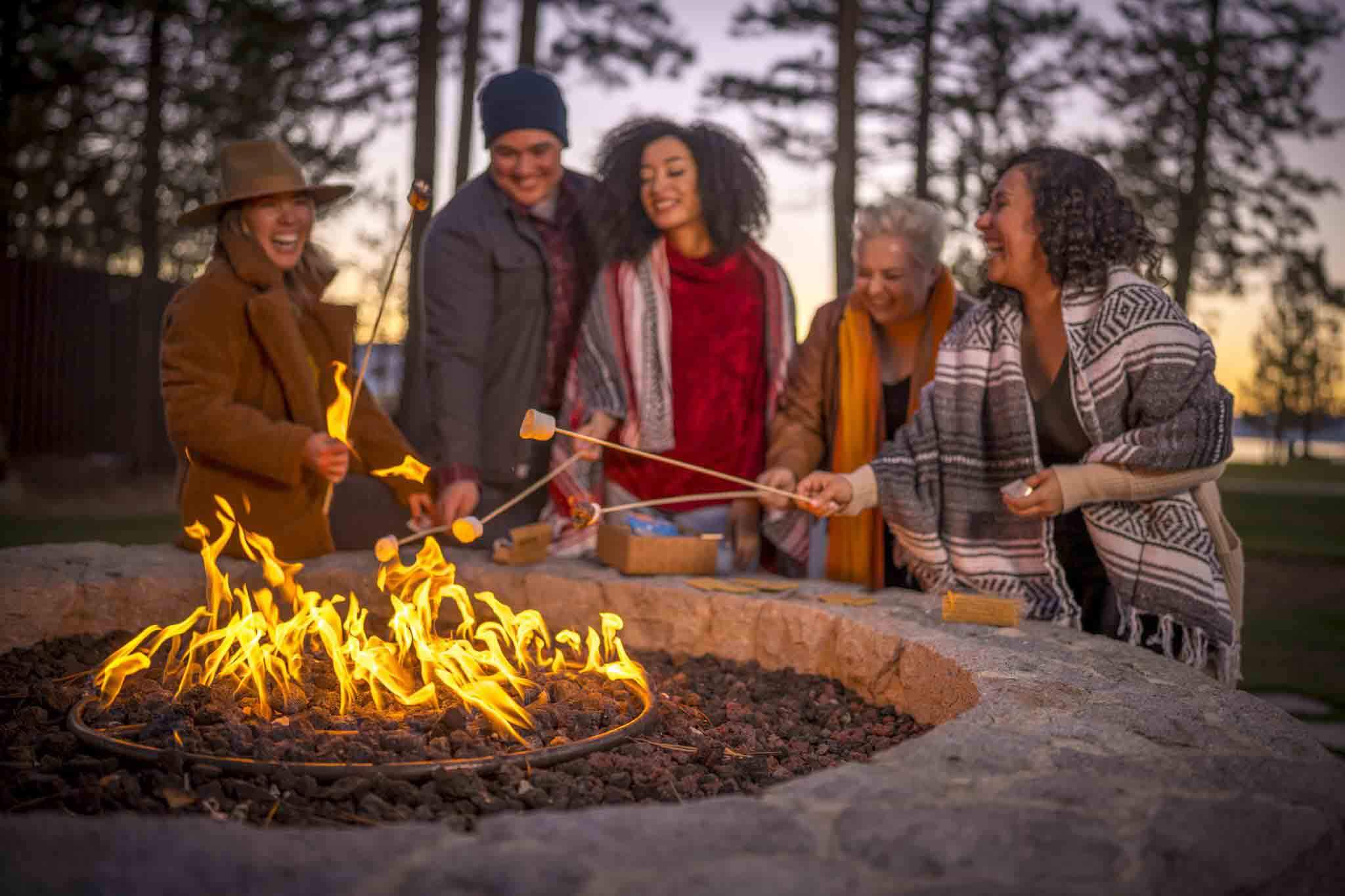 group grilling marshmallows by fire