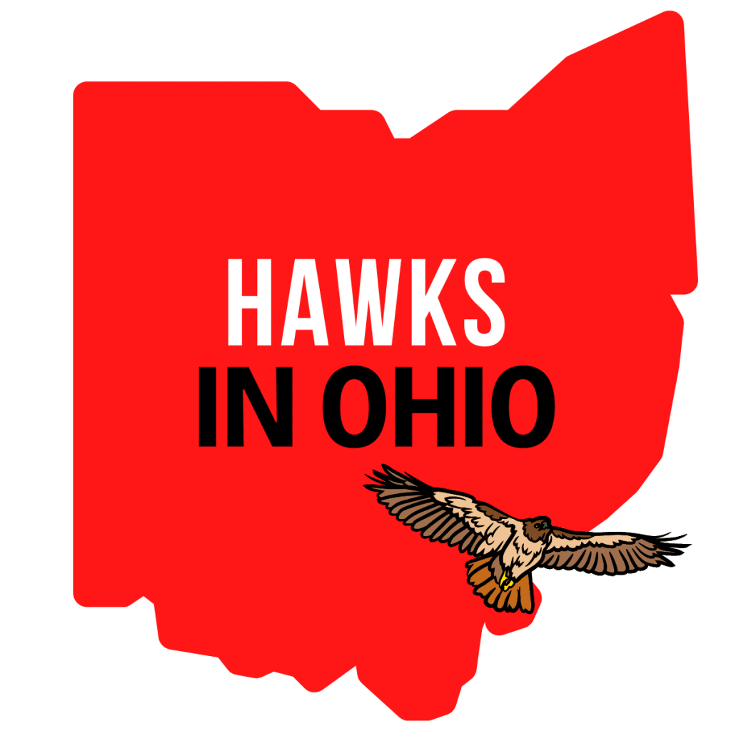 Hawks in Ohio