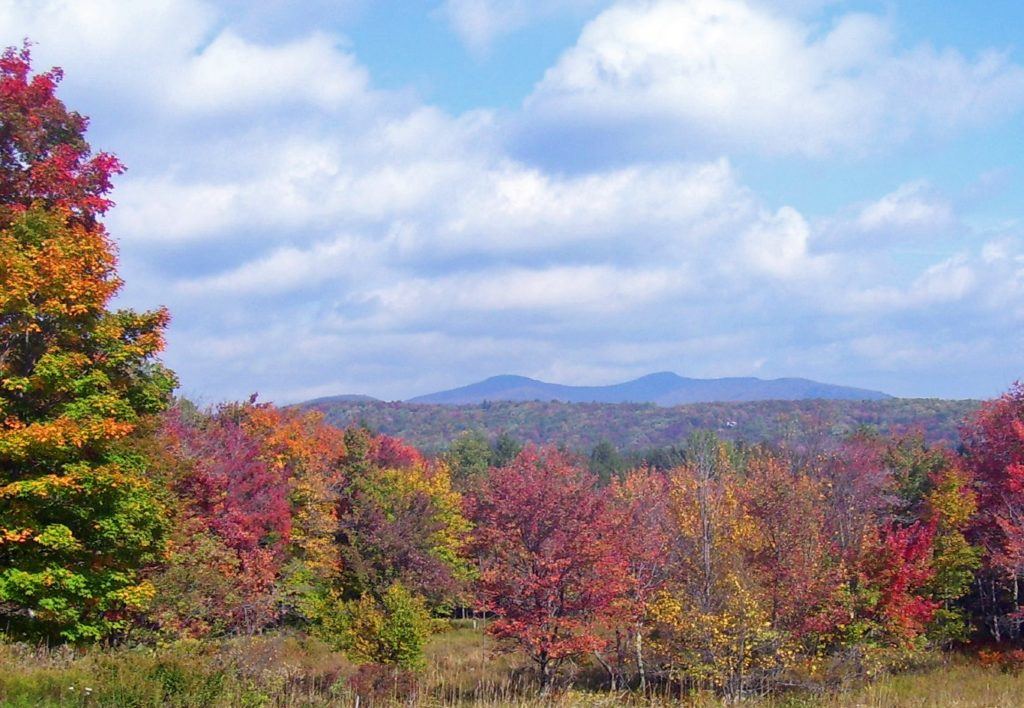 View from Red Hill Knolls Road in Denning, New York