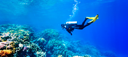 450x200 > Diving Wallpapers