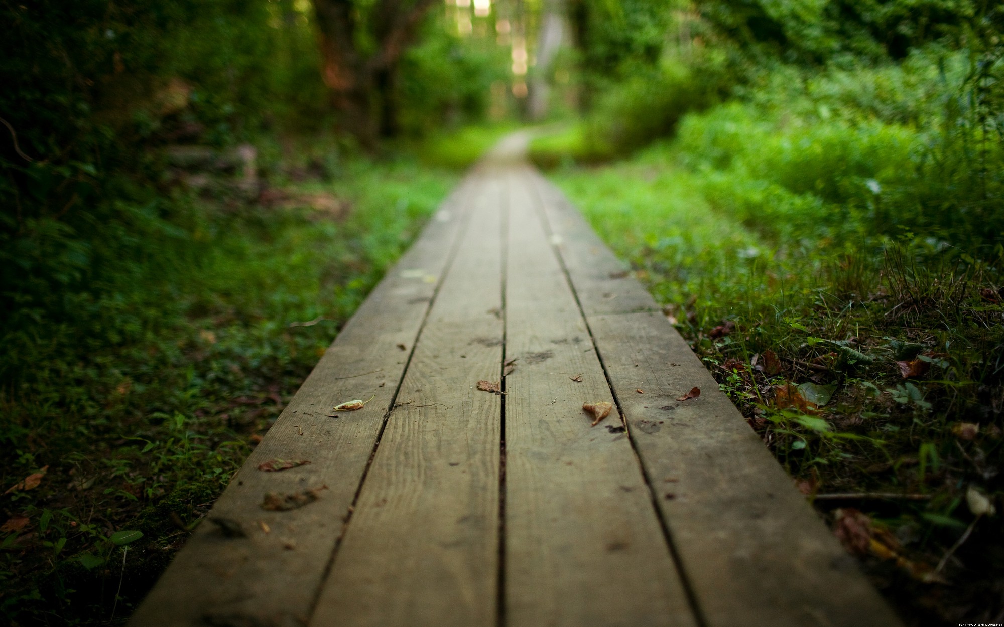 Path Backgrounds, Compatible - PC, Mobile, Gadgets| 2000x1250 px