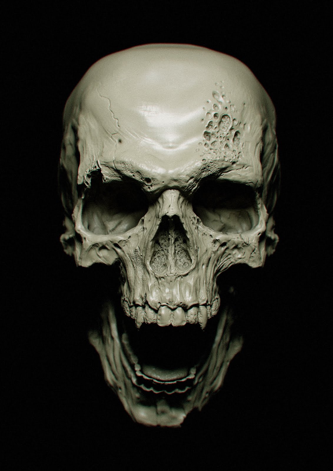 Skull High Quality Background on Wallpapers Vista