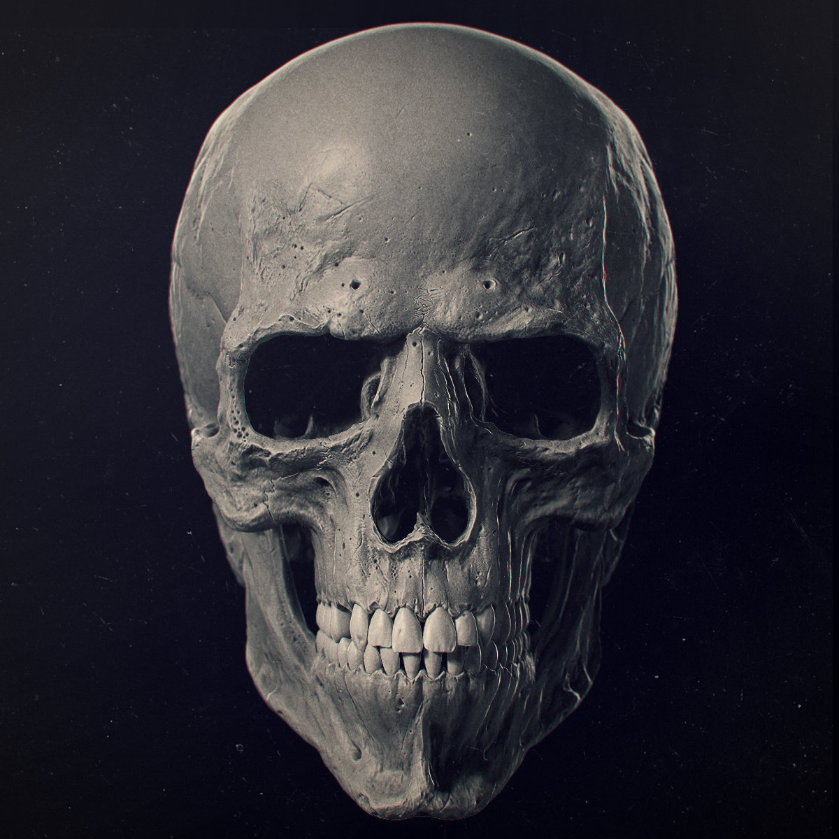 Skull Backgrounds, Compatible - PC, Mobile, Gadgets| 1200x1200 px