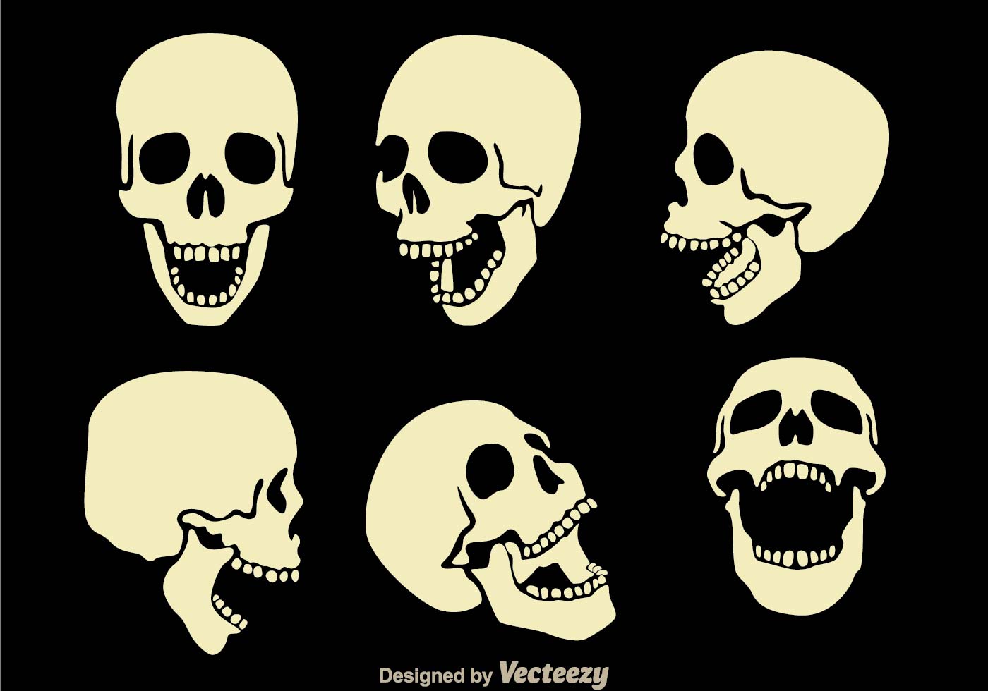 HQ Skull Wallpapers | File 79.63Kb