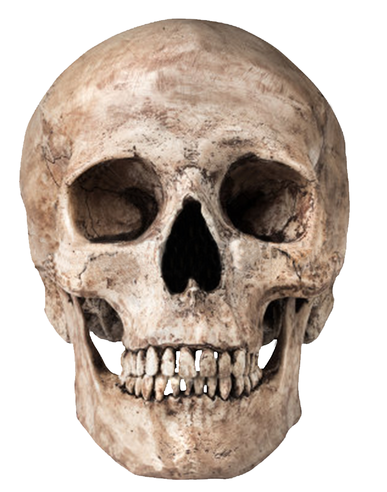 Skull Pics, CGI Collection