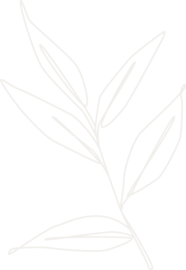 leaf outline