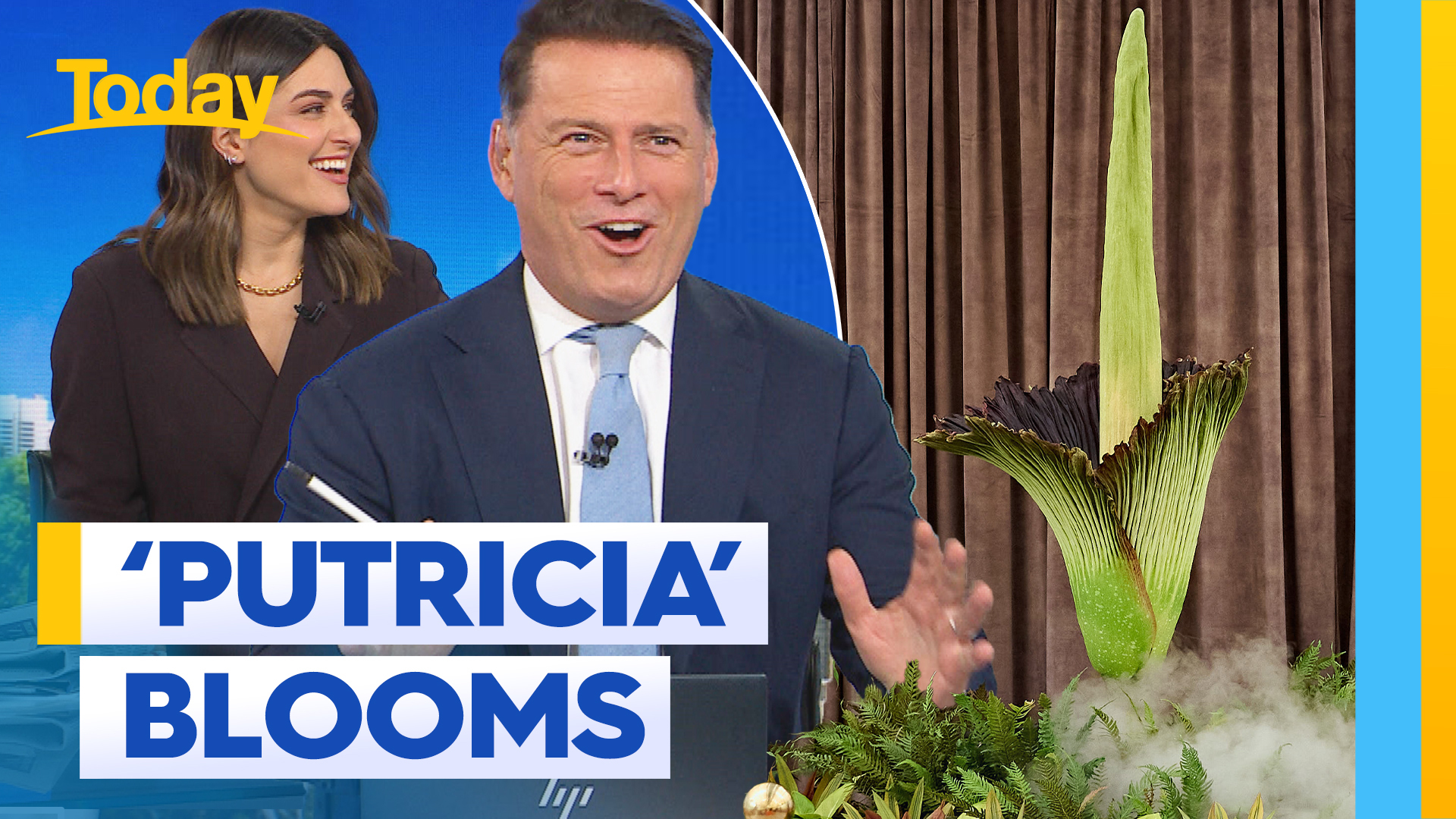 'Putricia' the corpse flower causes a stink with Today Show hosts