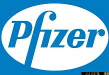 Prizer regulatory affairs manager