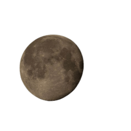 Gibbous Moon