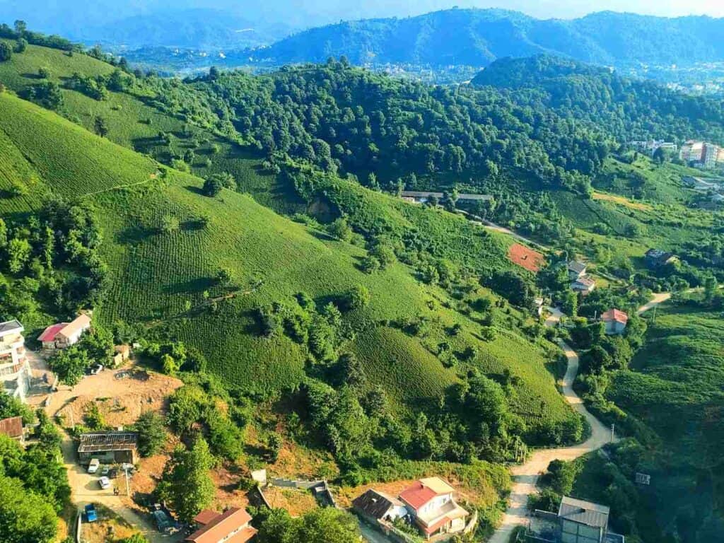 Lahijan tea plantations