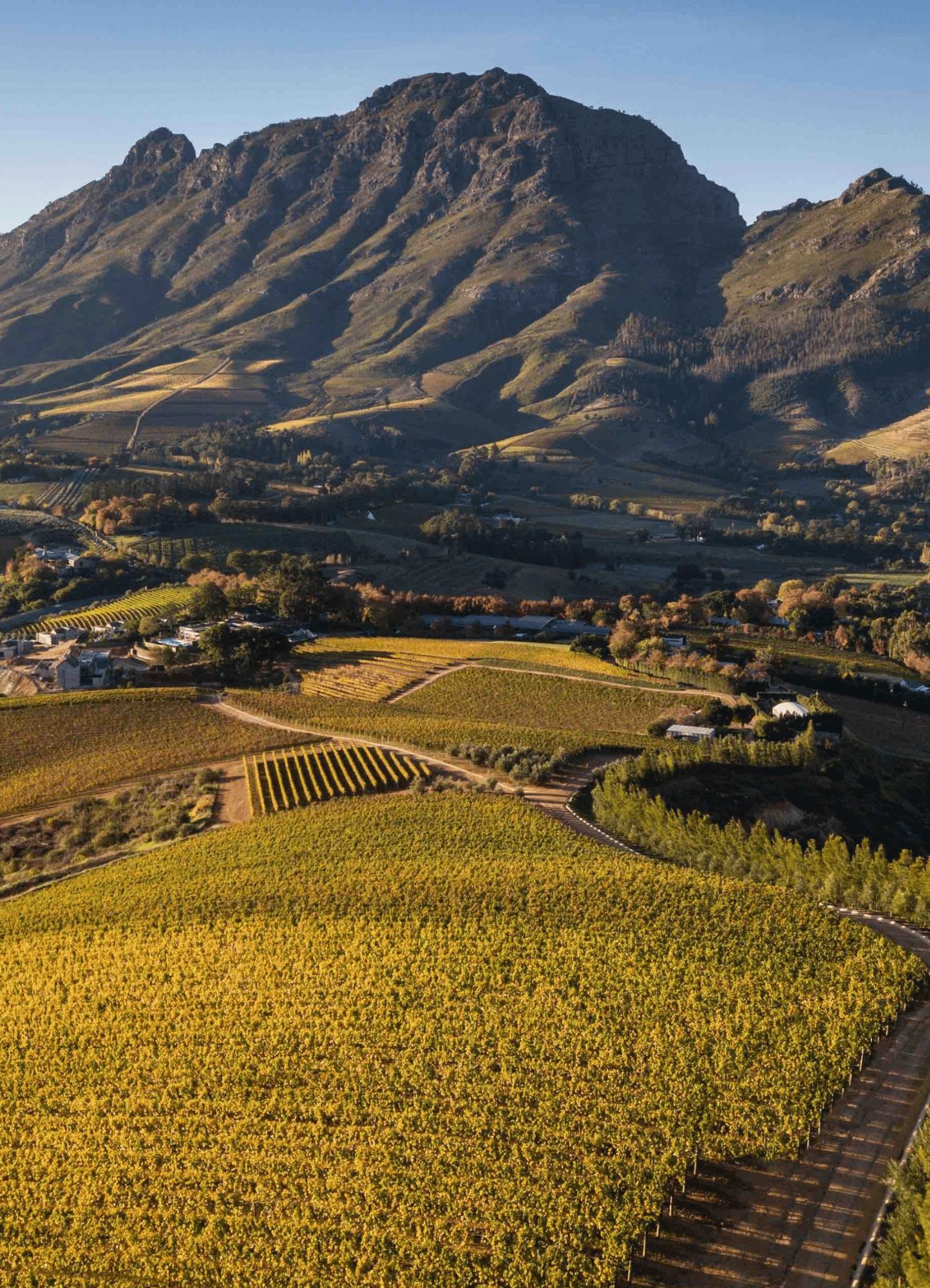 12 Best Cape Winelands restaurants. Photo Credit Delaire Graff