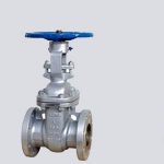 gate valve singapore