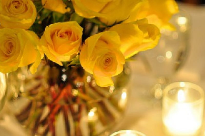 Roses, yellow roses, candle, flowers, bonito, light, HD wallpaper