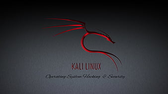 kali linux, shadows, didis, linux, kali, HD wallpaper