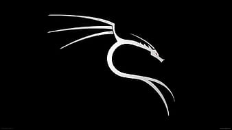 Technology, Hacker, Linux, Kali Linux, HD wallpaper