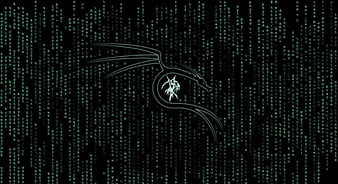 Kali Linux Matrix, HD wallpaper