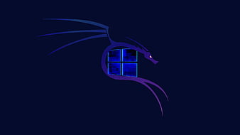 WindowsKali_2D MastrMarco, hydra, windows, kali linux linux, HD wallpaper