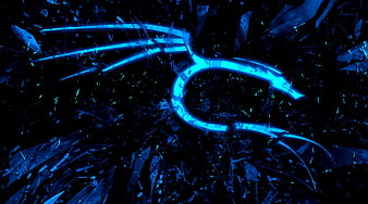 blue Kali dragon Ultra, Computers, Linux, kali linux, linux , kali , kali dragon, blue dragon, HD wallpaper