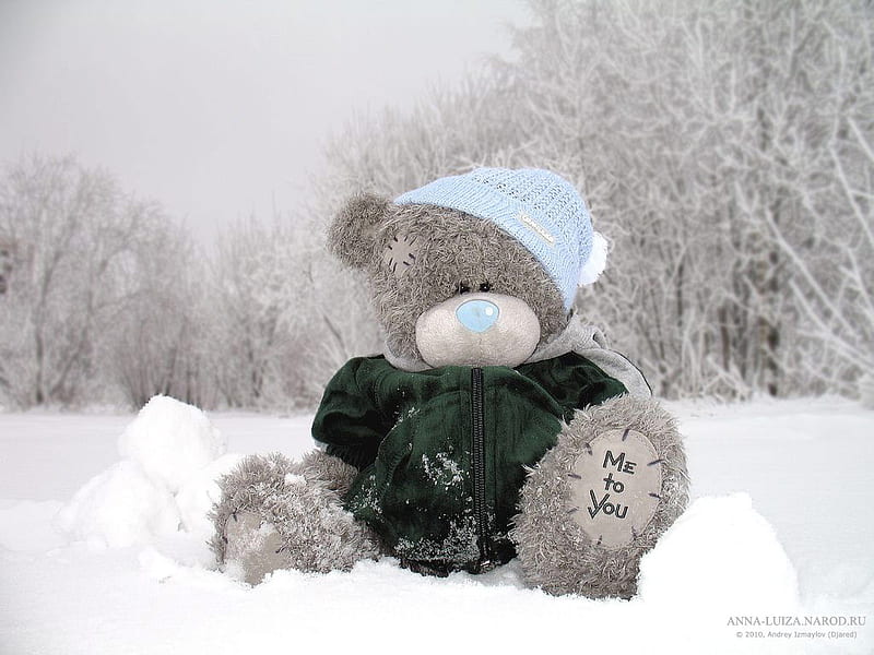 Winter teddy bear, cute, snow, teddy, bears, toys, winter, HD wallpaper