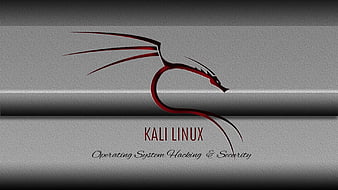 kali linux, gris, didis, linux, kali, HD wallpaper