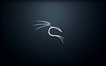 kali Linux, HD wallpaper