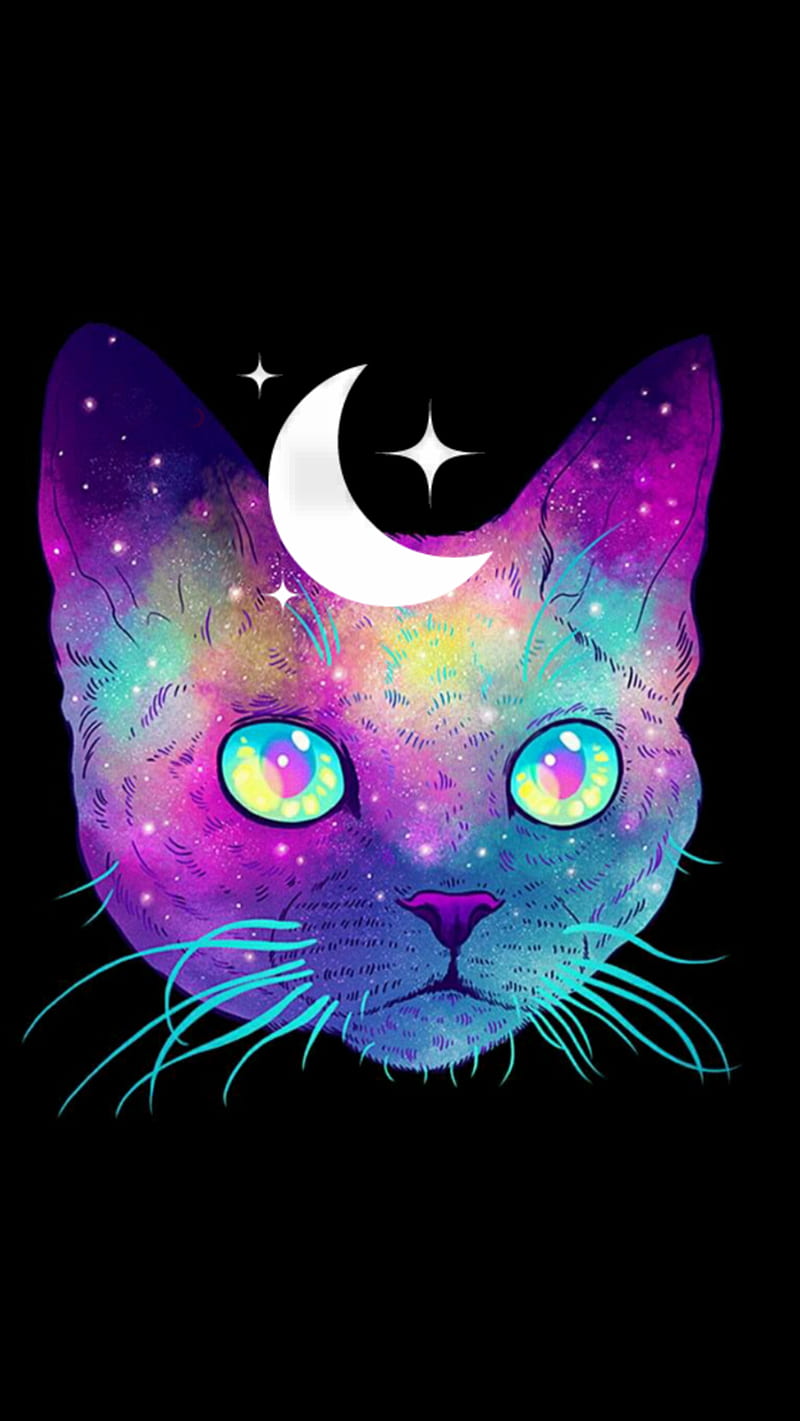 Space Cat Images  Browse 114235 Stock Photos Vectors and Video  Adobe  Stock