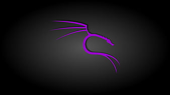 Black and Purple Kali Linux, operating system, technology, linux, kali, HD wallpaper