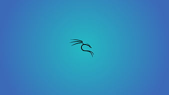 Kali Linux, kali, linux, HD wallpaper