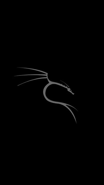 Kali Linux 1920x1080, , kali linux, linux kali, HD phone wallpaper