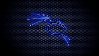 Kali Linux, computer, blue, hex, dragon, offensive security, HD wallpaper