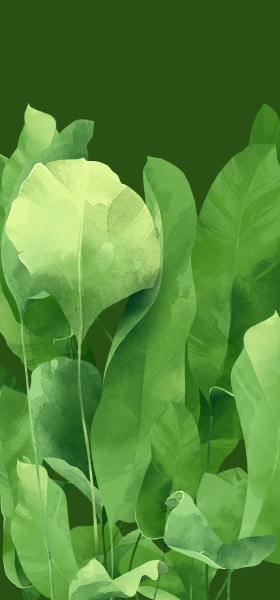 Green leaves by Adara Sánchez Wallpaper