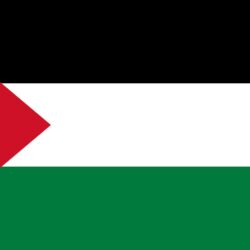 Palestine Flag