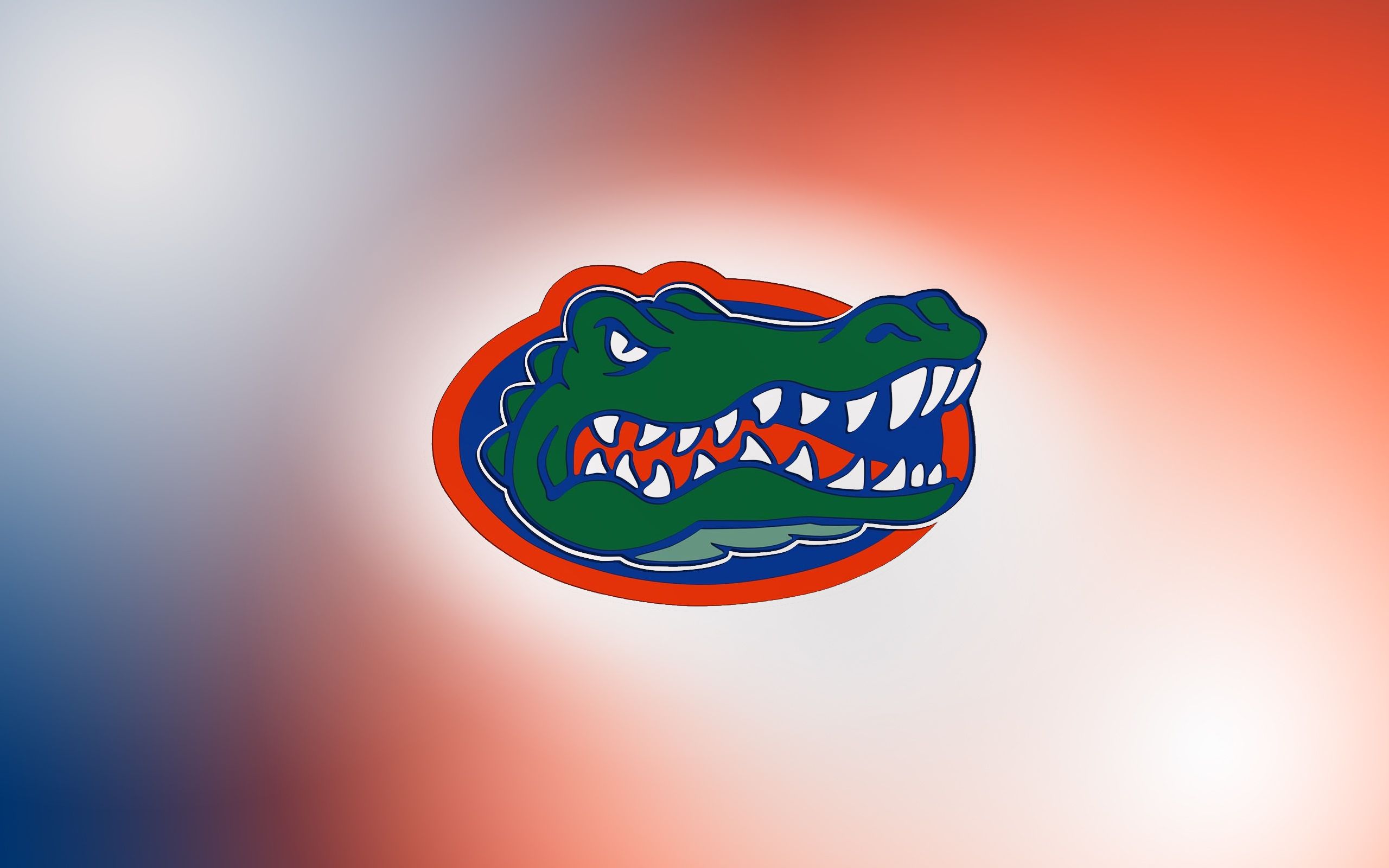 Wallpaper  Florida gators football Florida gators Florida gators softball