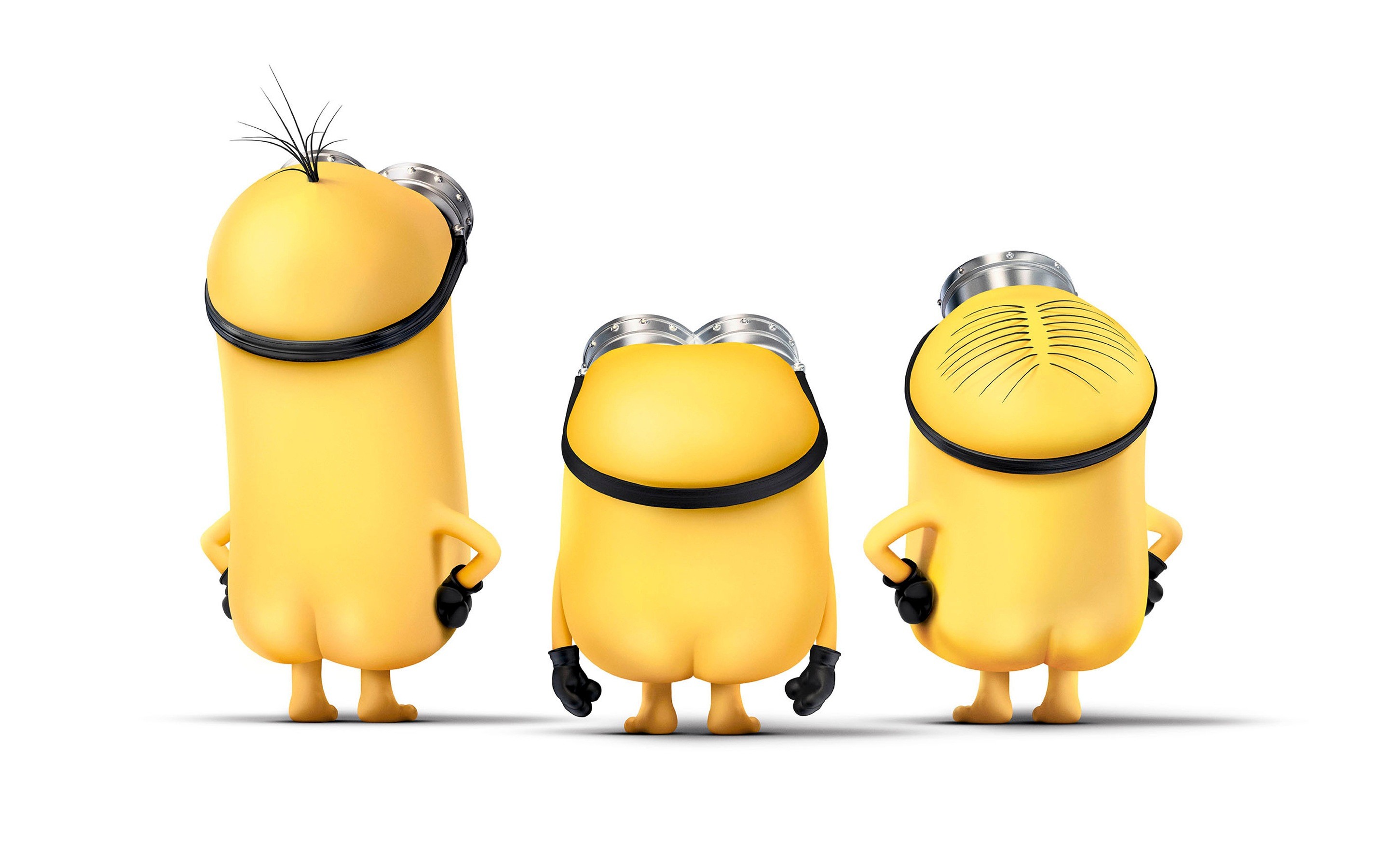 Bob Minions HD Wallpapers Backgrounds Wallpaper 28801800