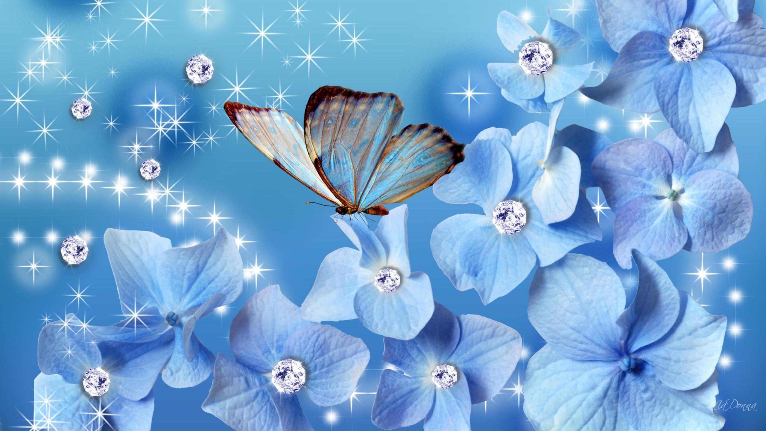 Blue Butterfly Wallpapers Photo Animated Wallpaper Desktop And Blue Butterfly Wallpapers Wallpapers