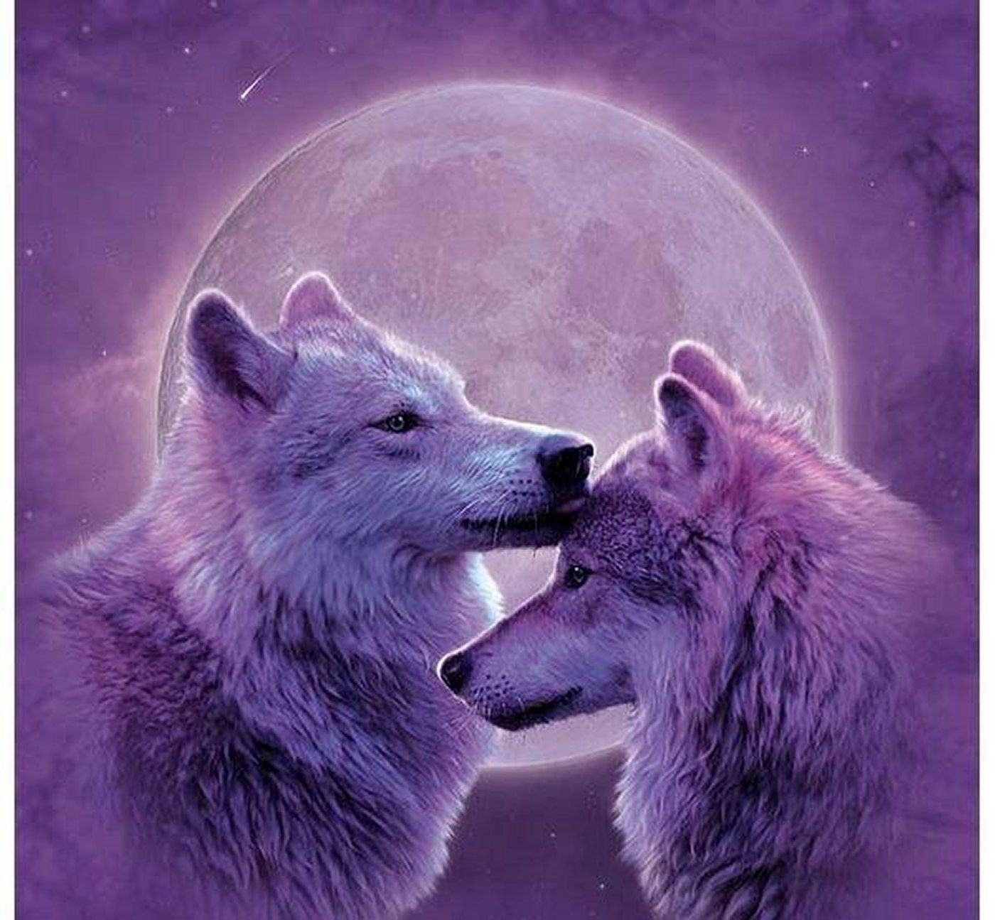 Two Wolves In Love Wallpaper