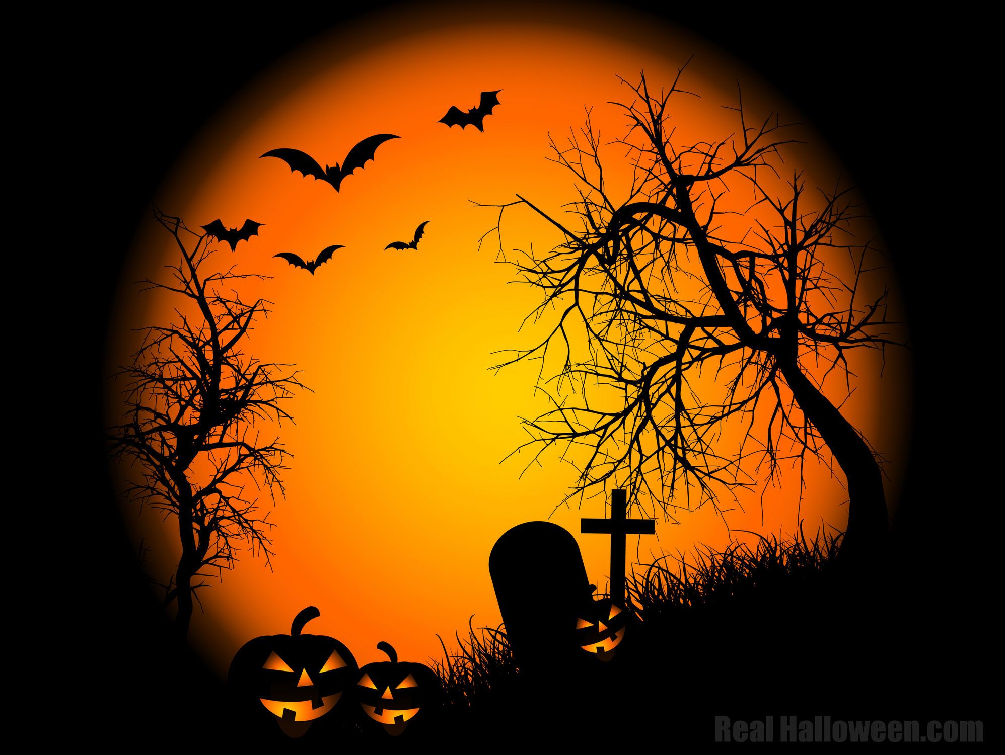 Good Morning Halloween Wallpapers on WallpaperDog