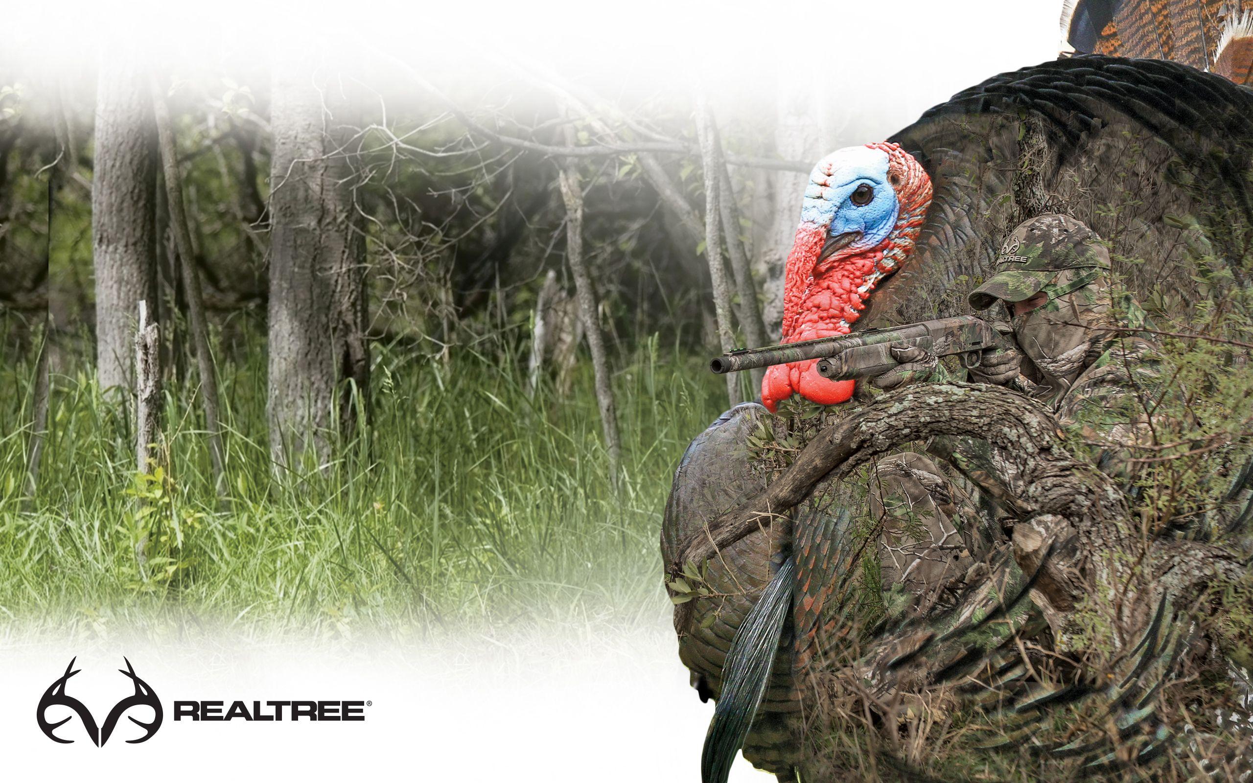 Spring Turkey Hunting Wallpaper