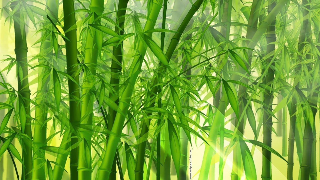 Green Bamboo Wallpapers - Top Free Green Bamboo Backgrounds -  WallpaperAccess