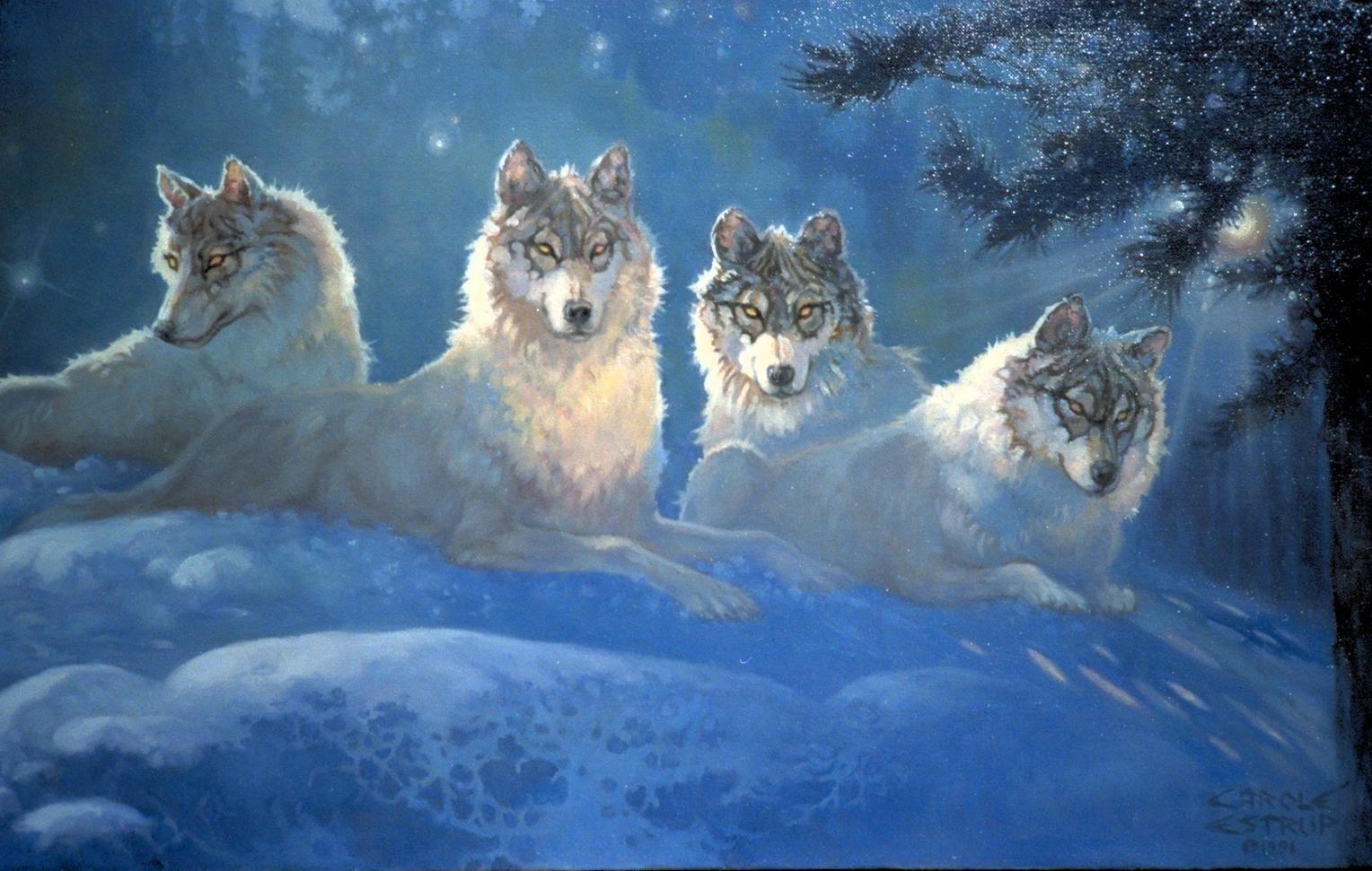 Native American Wolves Wallpapers Top Free Native Ame - vrogue.co