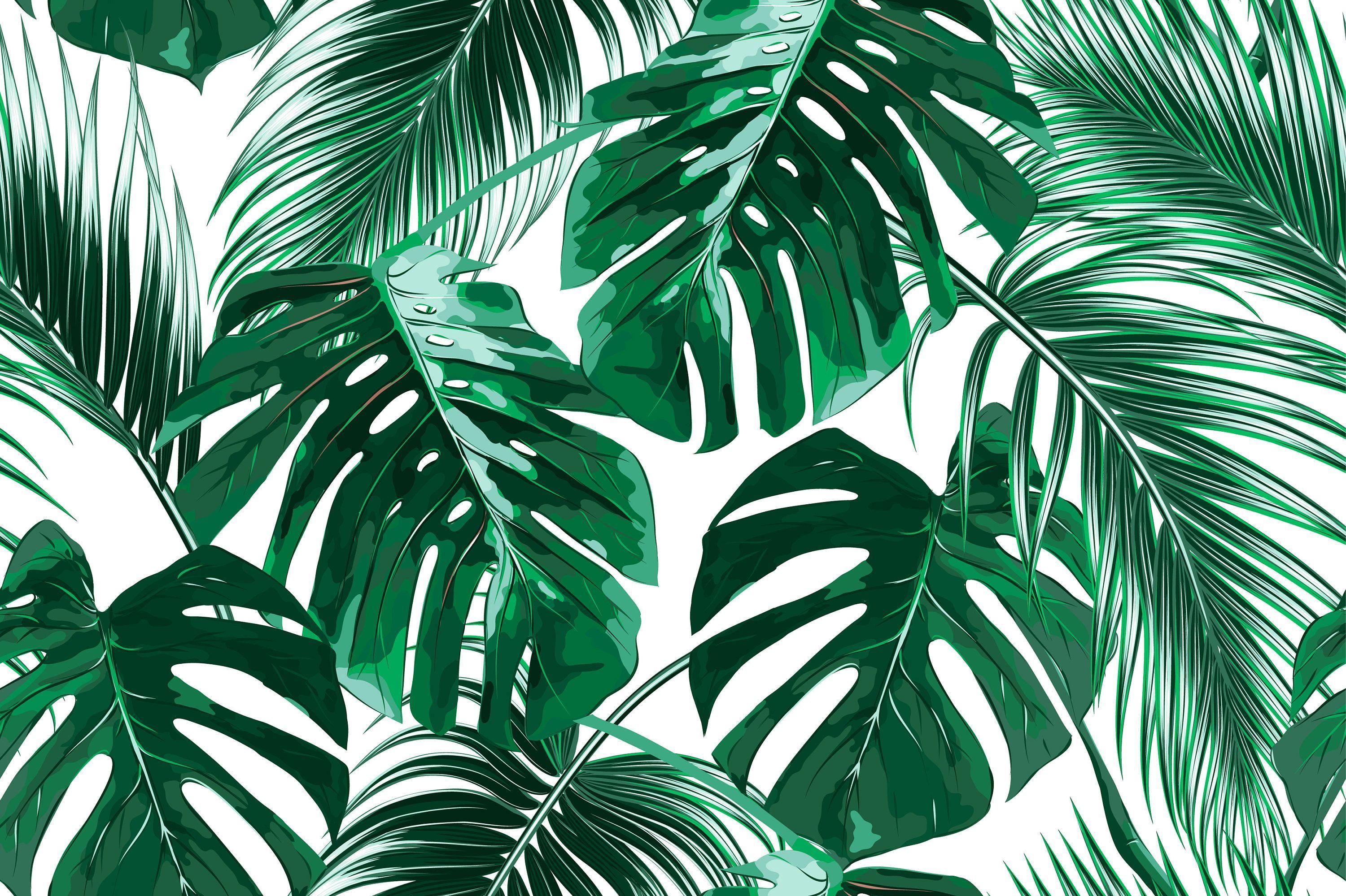 Tropical Palm Leaf Wallpapers - Top Hình Ảnh Đẹp