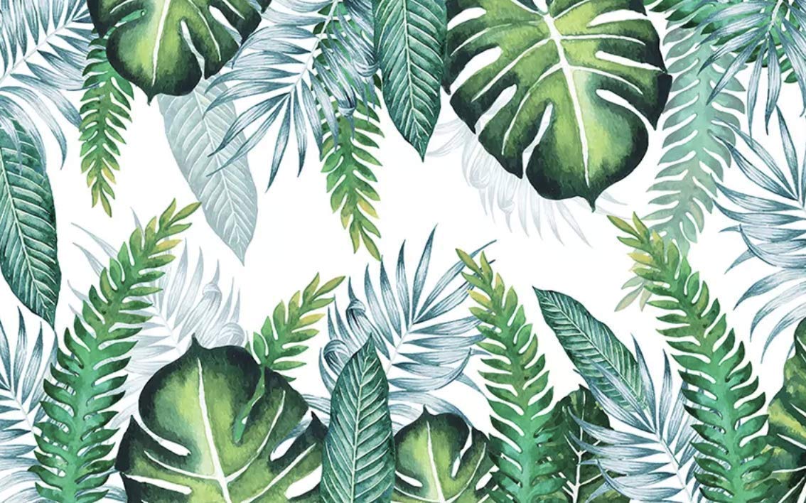 Tropical Palm Leaf Wallpapers - Top Hình Ảnh Đẹp