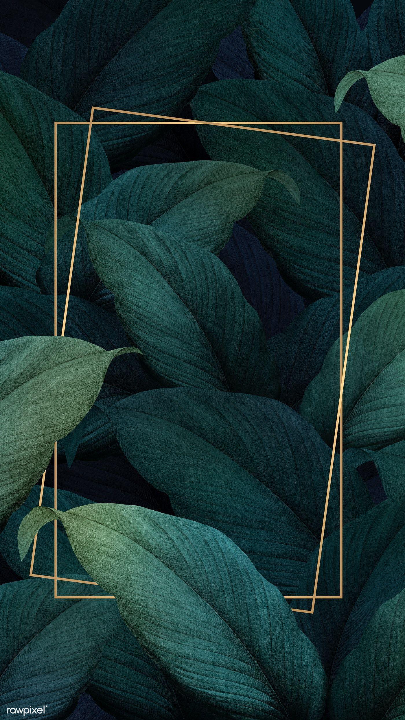 112 Wallpaper Aesthetic Daun free Download - MyWeb