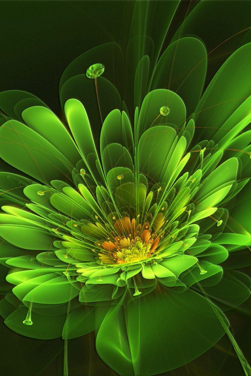 Green Flower iPhone Wallpapers - Top Free Green Flower iPhone Backgrounds -  WallpaperAccess