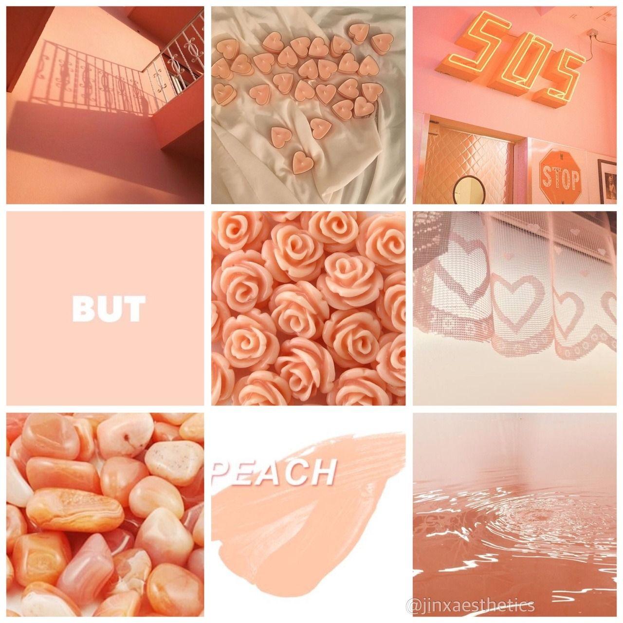 Coral Aesthetic Wallpaper  Myindianthings