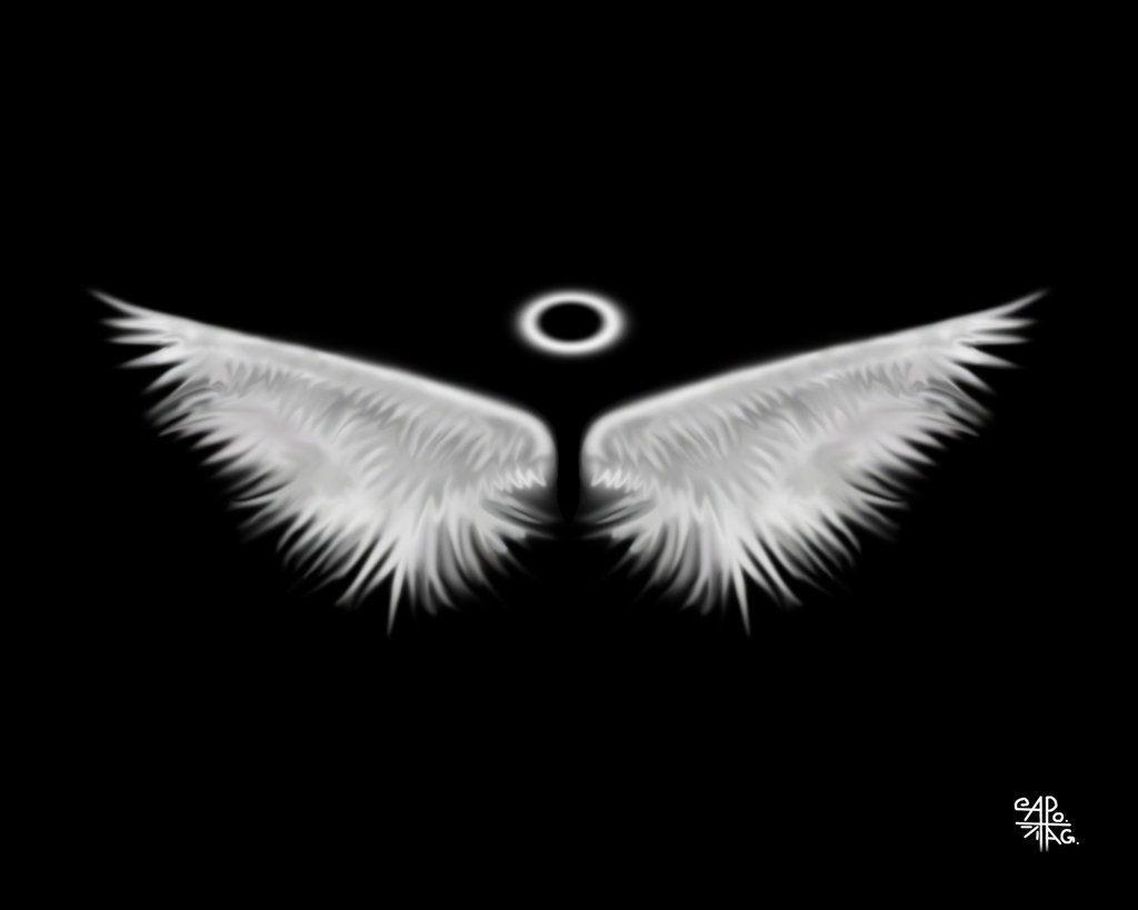 White Angel Wings Wallpapers - Top Free White Angel Wings Backgrounds ...