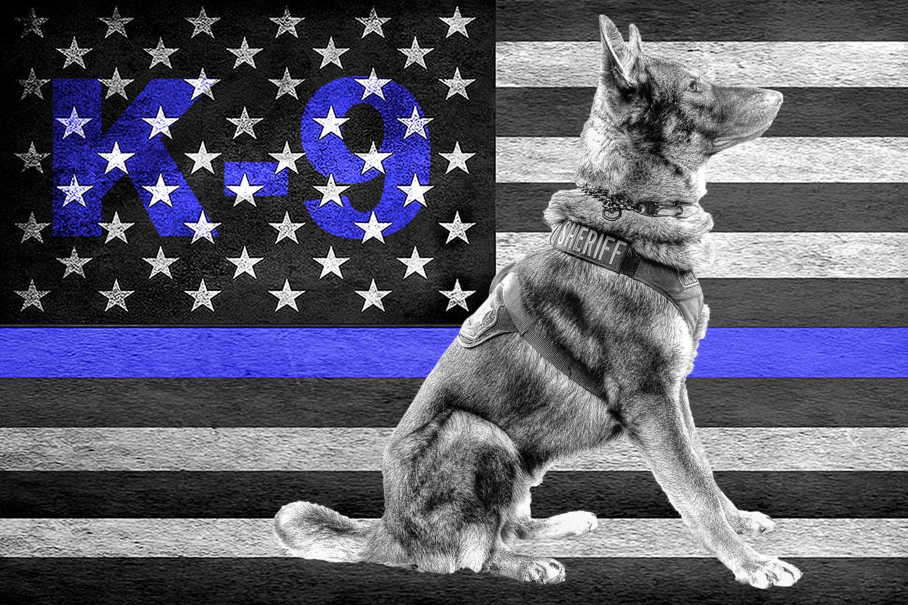 Thin Blue Line K9 Wallpaper