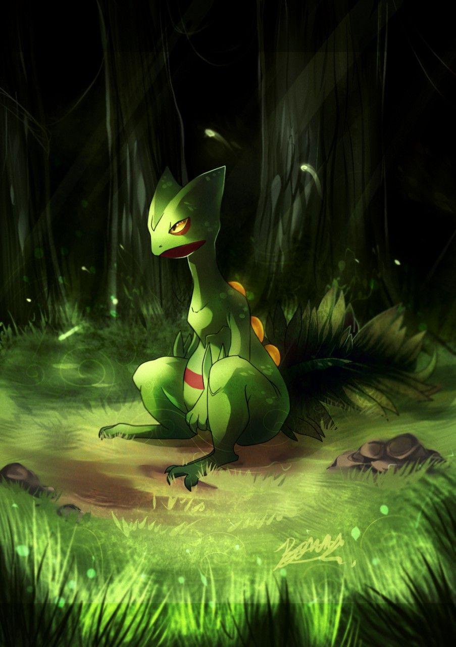 Pokemon Sceptile Wallpaper