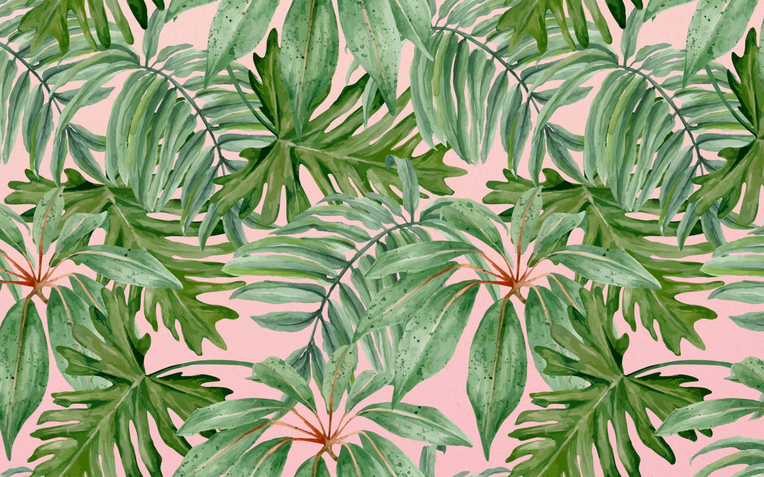 Aesthetic Palm Leaves Wallpapers - Top Hình Ảnh Đẹp