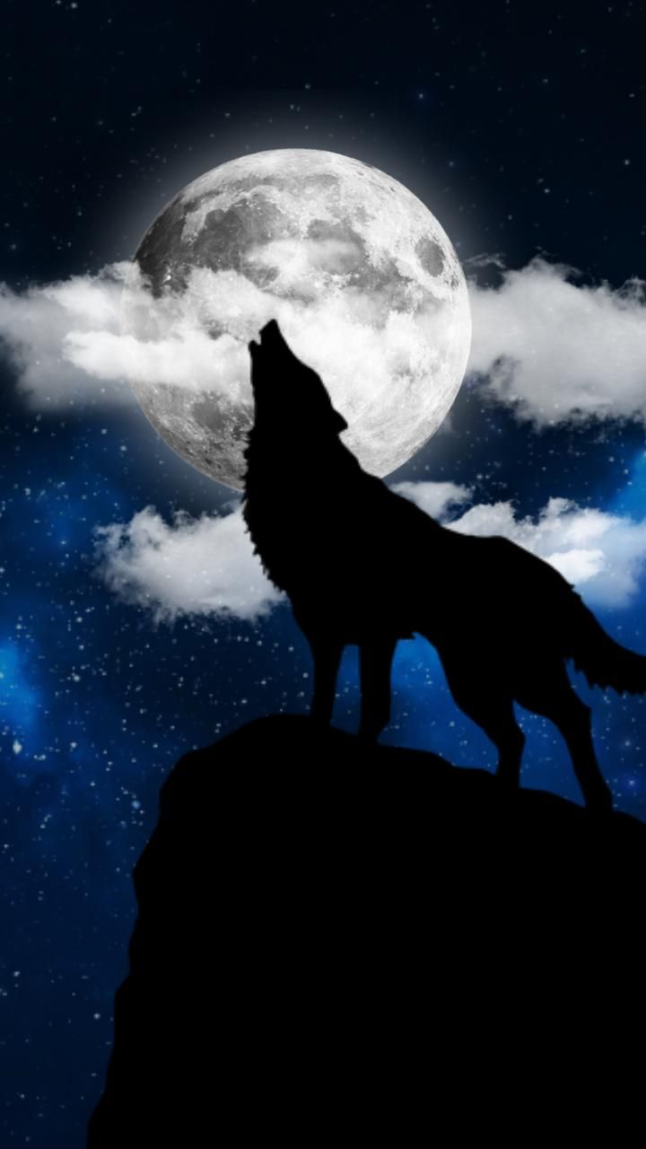 Full Moon Wallpapers - 4k, HD Full Moon Backgrounds on WallpaperBat